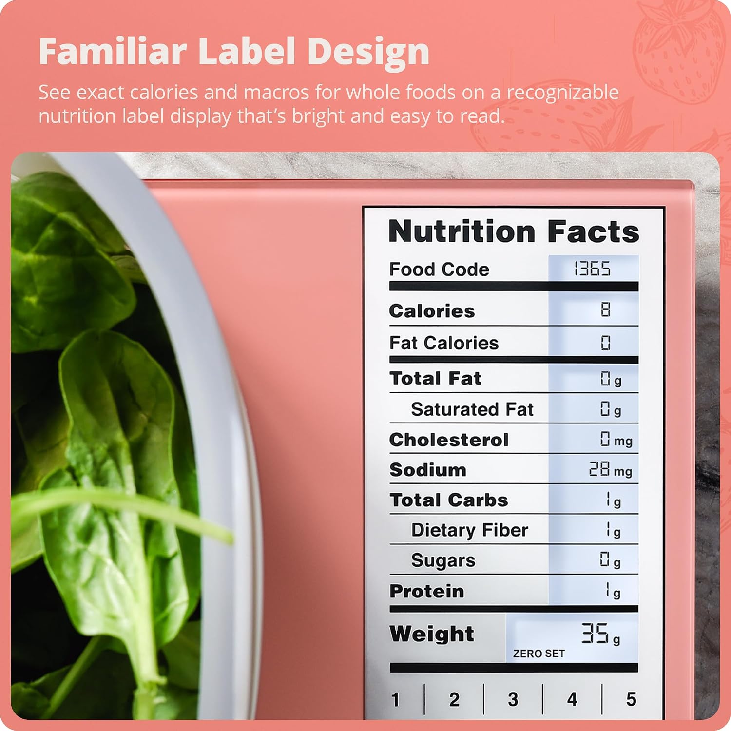 Báscula de Cocina de Acero Ino - Meal Prep Weight Loss reseña y precio