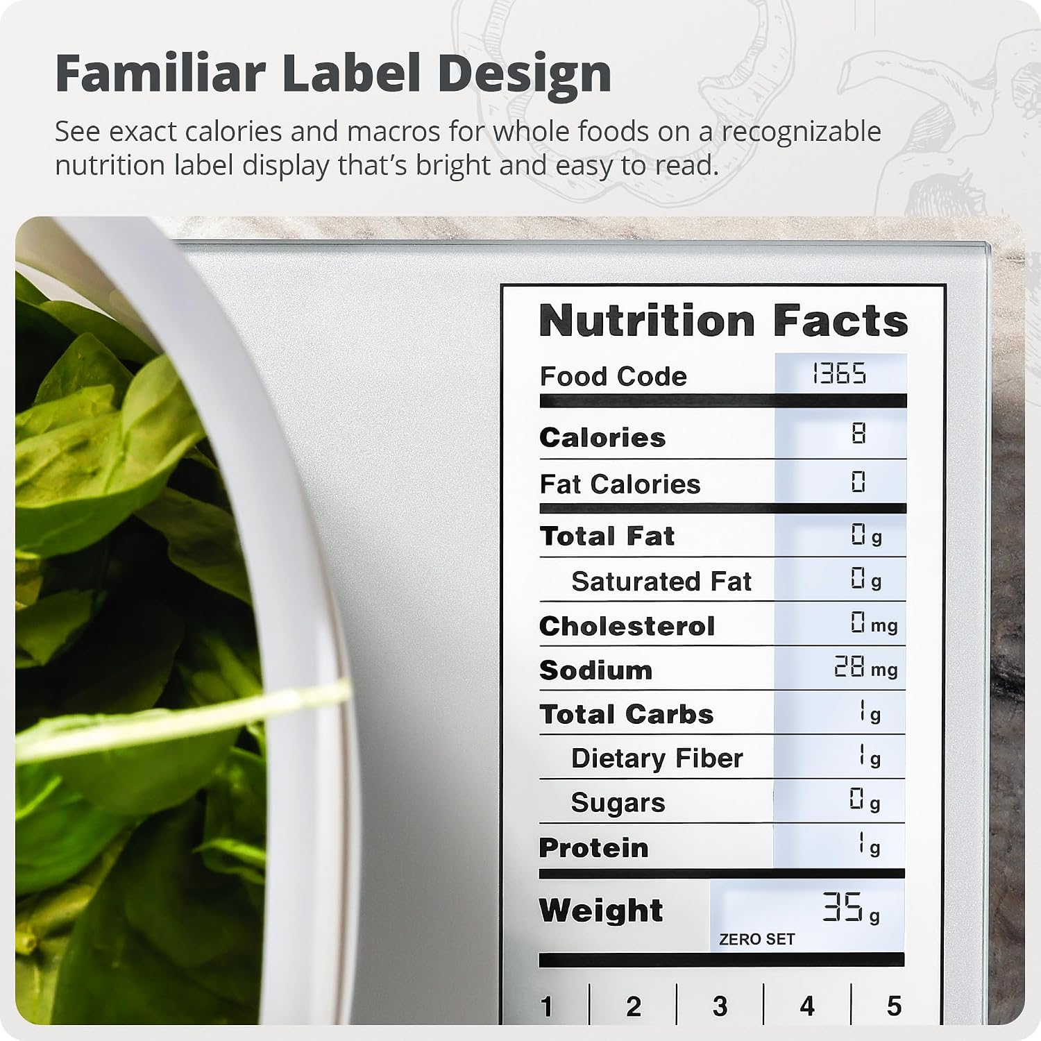 Báscula de Cocina de Acero Ino - Meal Prep Weight Loss reseña y precio